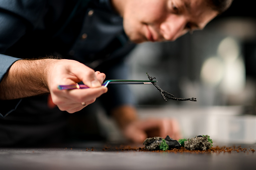 view of an incredible dish of molecular cuisine that male chef decorates with twig using tweezers in his hands