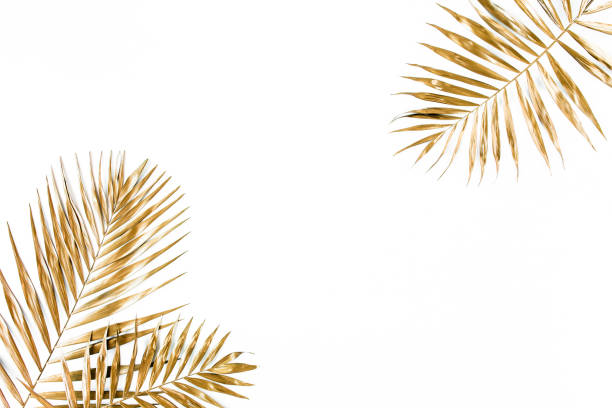 istock Gold tropical palm leaves on white background. Flat lay, top view minimal concept 1298089227