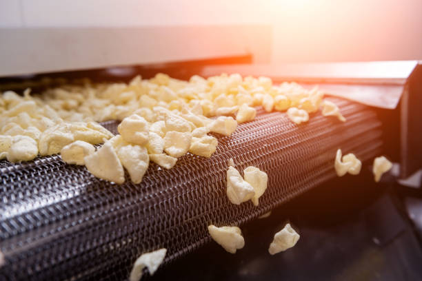 istock Conveyor line for frying snacks and chips in a modern factory 1298090453