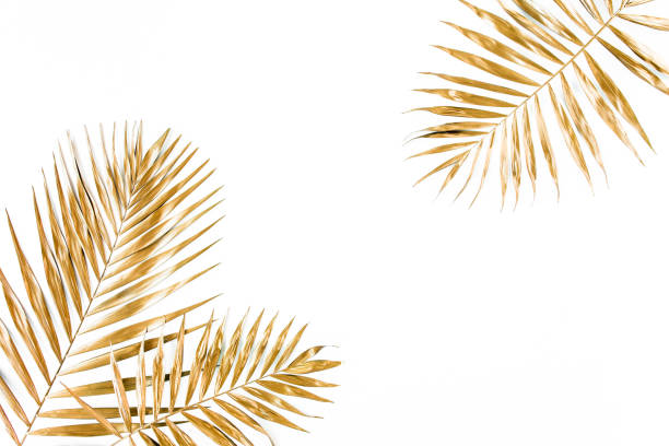 istock Gold tropical palm leaves on white background. Flat lay, top view minimal concept 1298091255