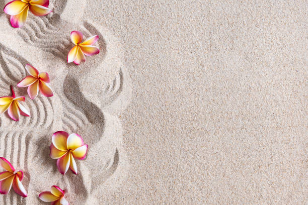 istock Frangipani (Plumeria) Flowers on Sand, tropical background, copy space 1298093000