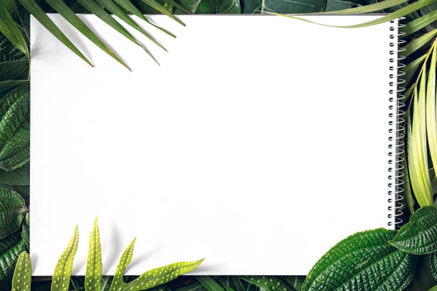 Summer tropical mix leaves background  with blank white paper , top view