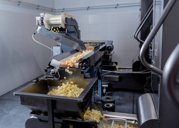 istock Conveyor line for frying snacks and chips in a modern factory 1298093793