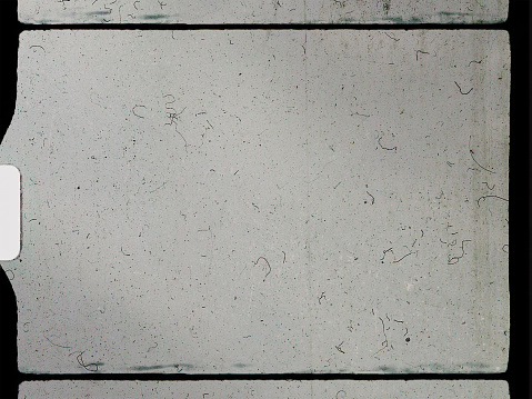empty or blank 8mm film frame with black border and dust.