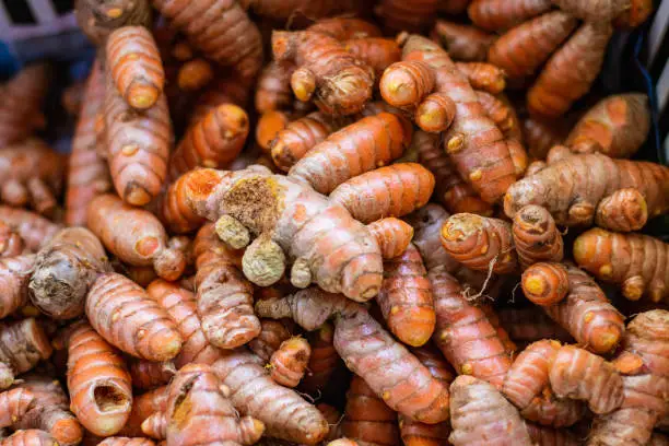 fresh turmeric roots in a basket.
