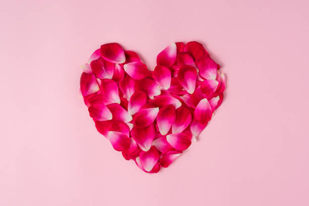 istock Heart shape made by rose petals on light pink background. 1298099527