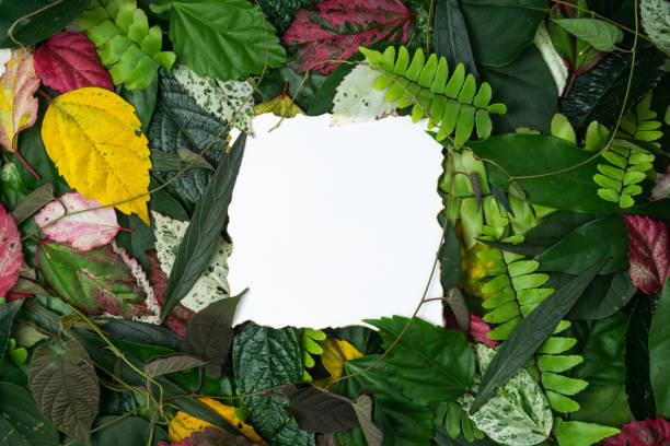 Creative concept multicolor leaves with paper card note. Flat lay view with a copy space. Nature concept.