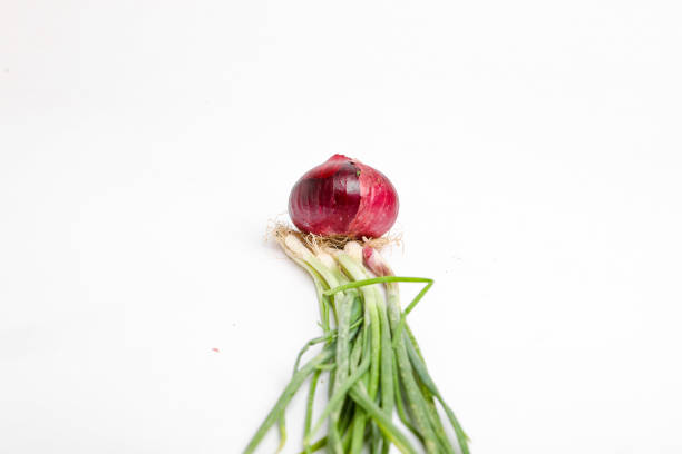 Red onions isolated on white background. Top view