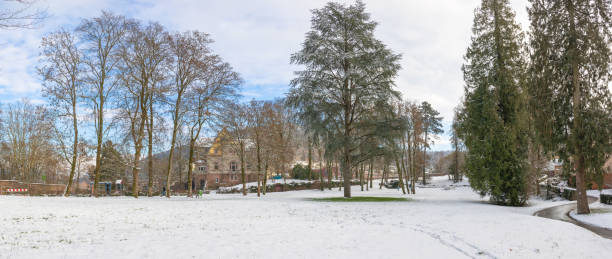 istock Winter scene in a public park 1298106409