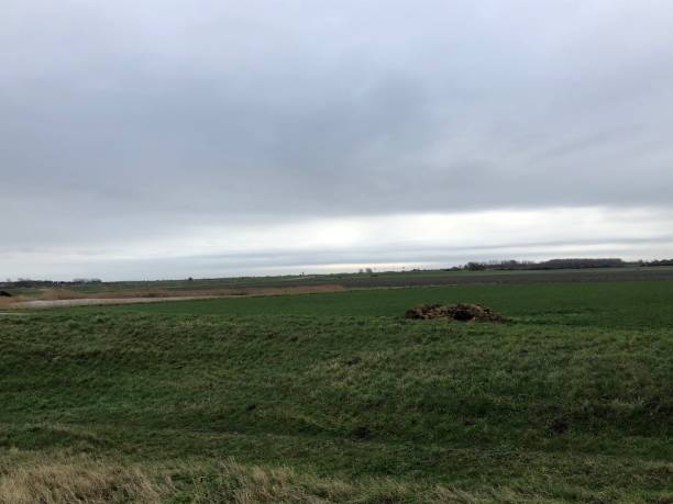 istock The polder of Flakkee 1298107722