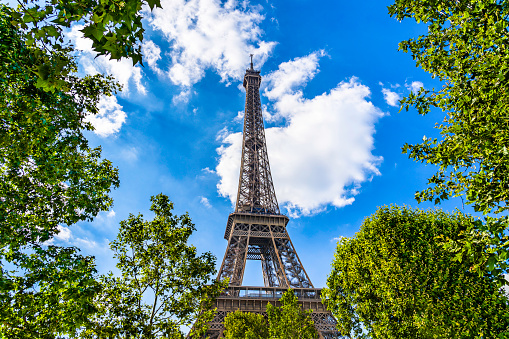 The Eiffel Tower surrounded by tree branches and green leaves in Paris, France on a blue sky with white clouds background