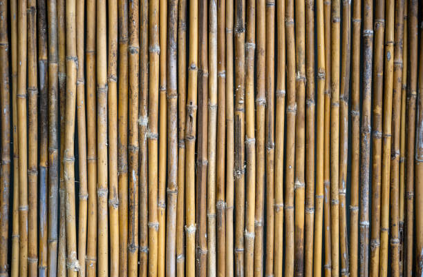istock Pattern of bamboo fence in a row. 1298110982