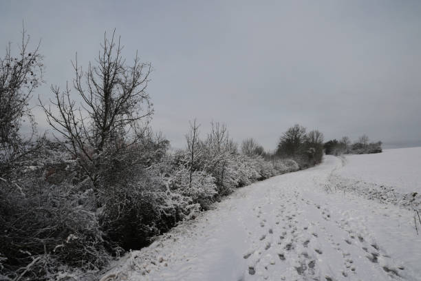 istock Snow covered fields in a frosty winter morning 1298113421