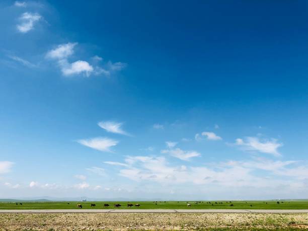 Bleu sky of Mongolia