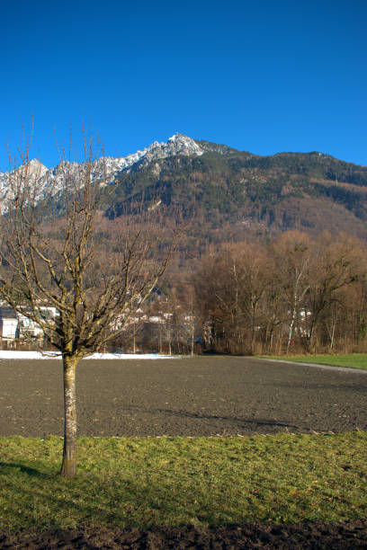 istock Mountain panorama in Vaduz in Liechtenstein 16.12.2020 1298115285