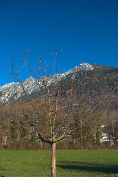 istock Mountain panorama in Vaduz in Liechtenstein 16.12.2020 1298115332