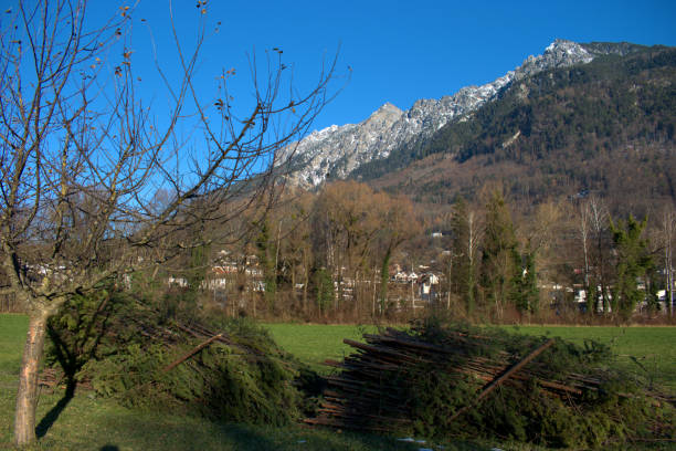 istock Mountain panorama in Vaduz in Liechtenstein 16.12.2020 1298115880