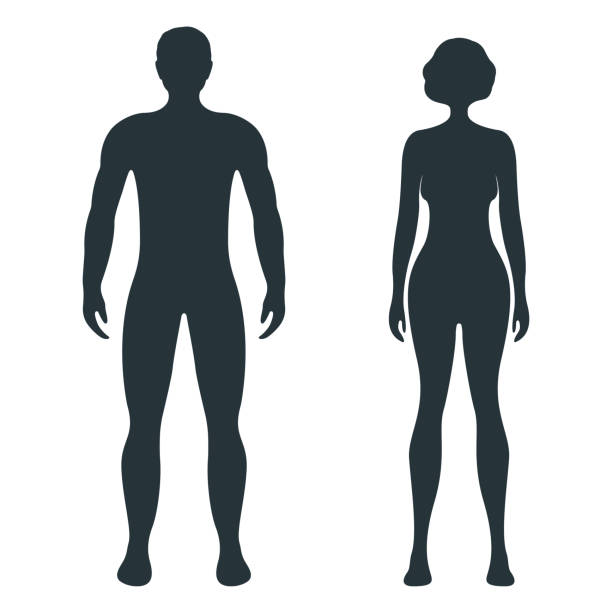남성과 여성의 인간의 성격, 사람 남자 여자 전면과 흰색, 평면 벡터 일러스트에 고립 된 측면 신체 실루엣을 볼 수 있습니다. - ankle strap shoe stock illustrations