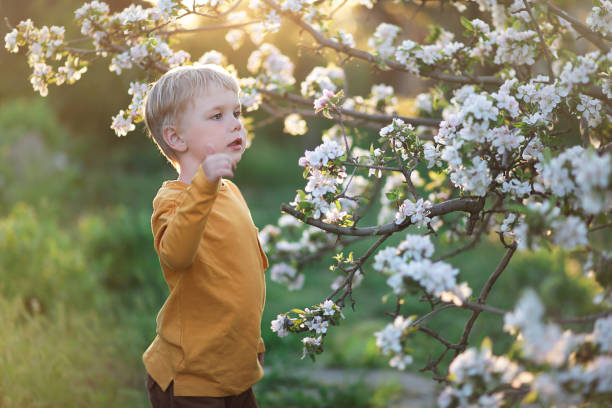 Child at sunset in the garden