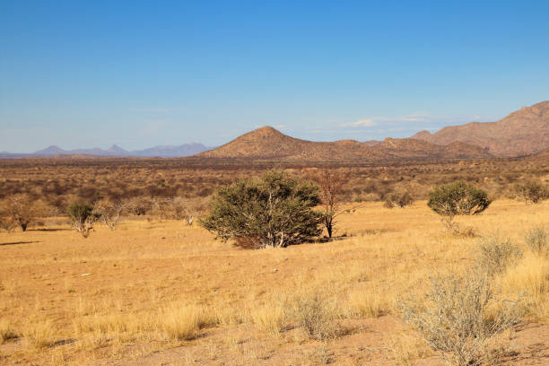 istock Erongo Mountains - Namibia, Africa 1298118404