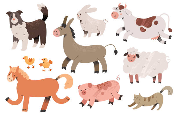 Cute farm animals collection, colored vector illustrations of cow, pig and sheepdog with textured effect. Colored doodle drawing isolated on white background. Cute farm animals collection, colored vector illustrations of cow, pig and sheepdog with textured effect. Colored doodle drawing isolated on white background. Domestic animals with face expressions border collie drawing stock illustrations