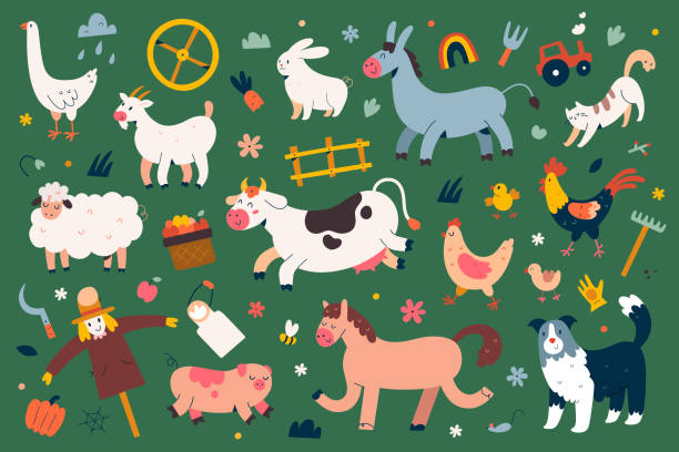 귀여운 농장 동물 컬렉션, 평면 동물 일러스트, 소, 양과 얼굴 표정과 수탉, 고립 된 아이들을위한 만화 캐릭터, 플랫 벡터 클립 아트. - sheepdog dog sheep border collie stock illustrations