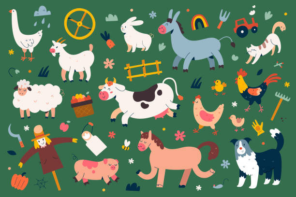 Cute farm animals collection, flat animal illustration, cow, sheep and rooster with face expressions, cartoon characters for kids isolated, flat vector cliparts. Cute farm animals collection, flat animal illustration, cow, sheep and rooster with face expressions, cartoon characters for kids isolated, big bundle, flat vector cliparts. border collie drawing stock illustrations