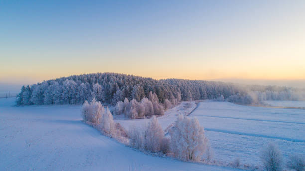 istock Winter landscape with forest and meadow covered with snow 1298130277