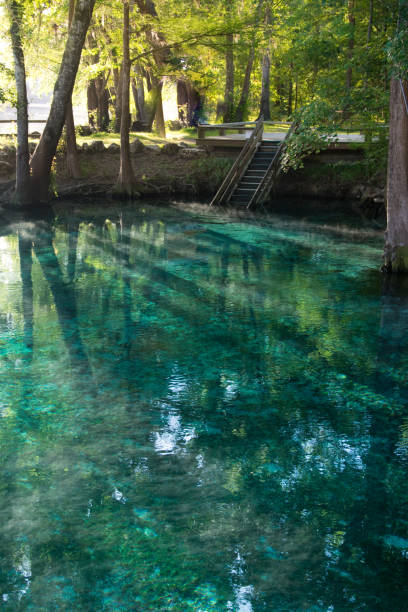 istock Swimming Hole in Florida - Summer Freshwater Spring 1298131791