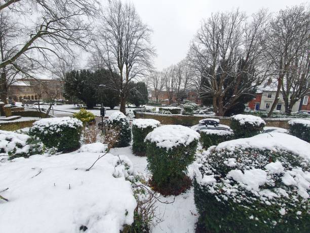 istock St Albans snow day in the UK 1298133021
