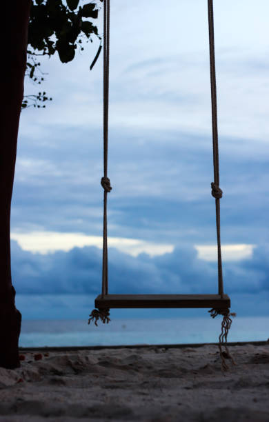 istock The swing with sea and sky in the background 1298134550