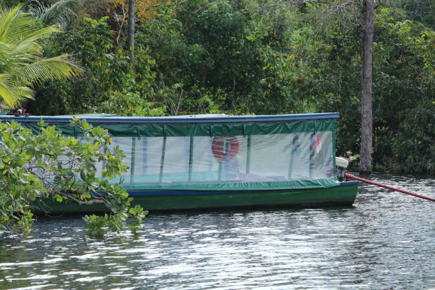 istock Wooden green boat sailing on the Amazon River 1298135220