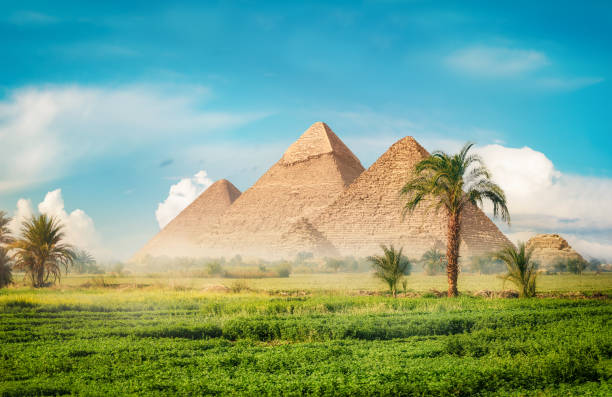 Pyramids in field Egyptian pyramids in green field at foggy morning landscape fog africa beauty in nature stock pictures, royalty-free photos & images