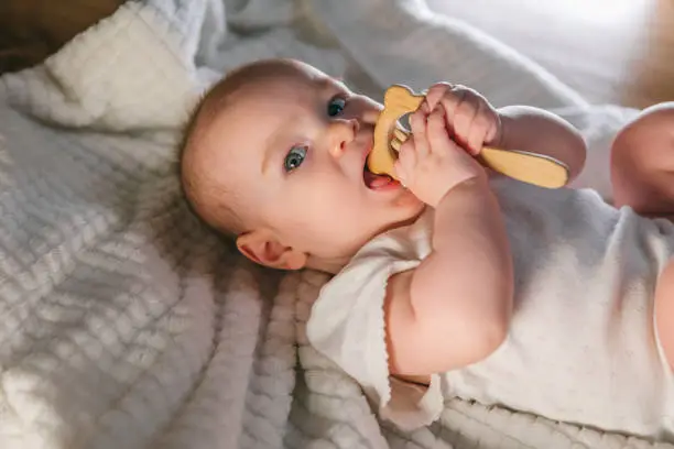 A baby of 5-6 months gnaws a toy. Teething of the first milk teeth, how to help the baby and relieve pain