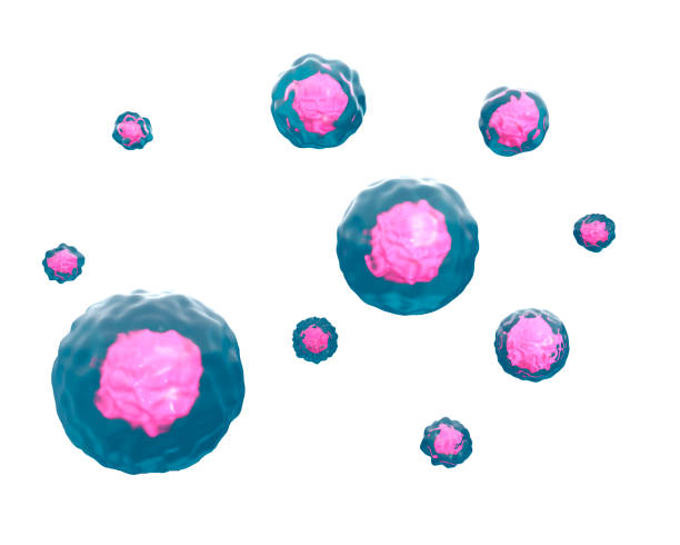 istock 3d rendering organism cells illustration on white background 1298136637