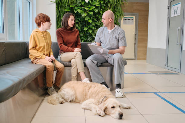 istock Visit to the vet 1298137672