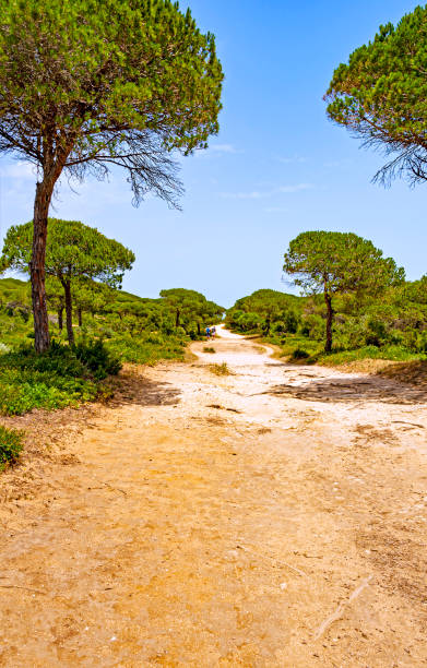 istock La Brena National Park, Spain 1298137802