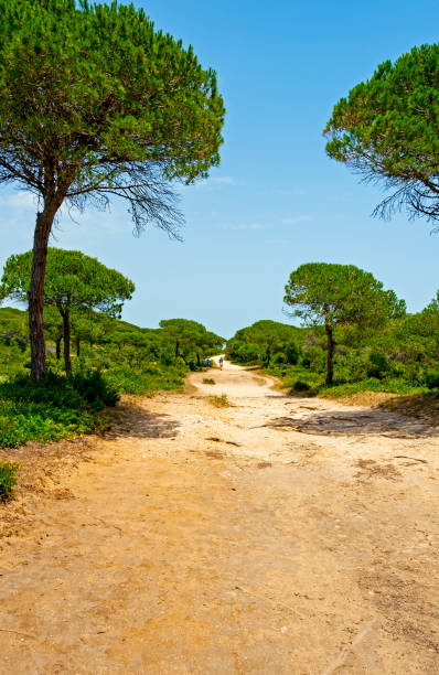 istock La Brena National Park, Spain 1298137929