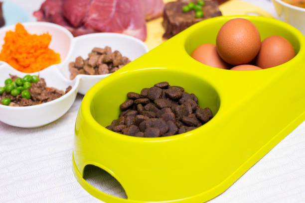 istock Raw dog food ingredients 1298140509