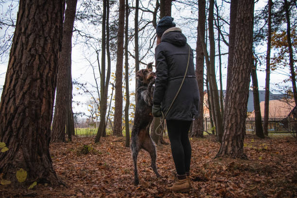 istock Woman Walking with Dog 1298141829