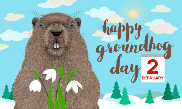 Groundhog Day greeting card Happy Groundhog Day vector greeting card with cute stylized groundhog, trees, winter landscape and lettering. groundhog day stock illustrations