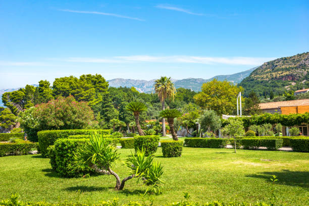 istock Park in Sveti Stefan 1298148230