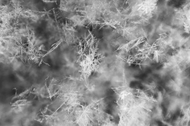 istock macro image of snowflakes with different shapes black and white, 1298149906