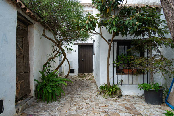 istock Castellar de la Frontera. Cadiz. Rural tourism. 1298149999