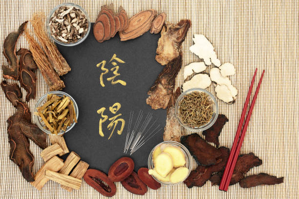 yin yang erbe cinesi per la medicina a base di erbe - herbal medicine angelica alternative medicine chinese medicine foto e immagini stock