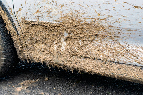 Shot on the mud on a car body. Details.