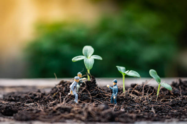 istock Nature exploration team is planting trees for a green world project. 1298162133