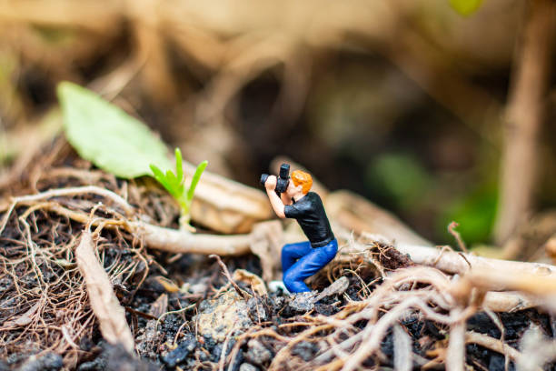 istock photographer taking a small tree in the tropical forest. 1298162138