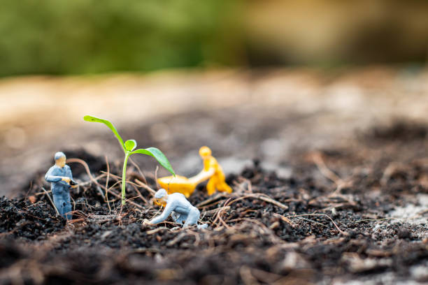 Nature exploration team is planting trees for a green world project. Miniature people : Nature exploration team is planting trees for a green world project. (We plant trees for a better world) human representation photos stock pictures, royalty-free photos & images