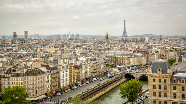 vista de la ciudad y la torre eiffel desde lo alto de la catedral de notre dame, parís, francia - notre fotografías e imágenes de stock